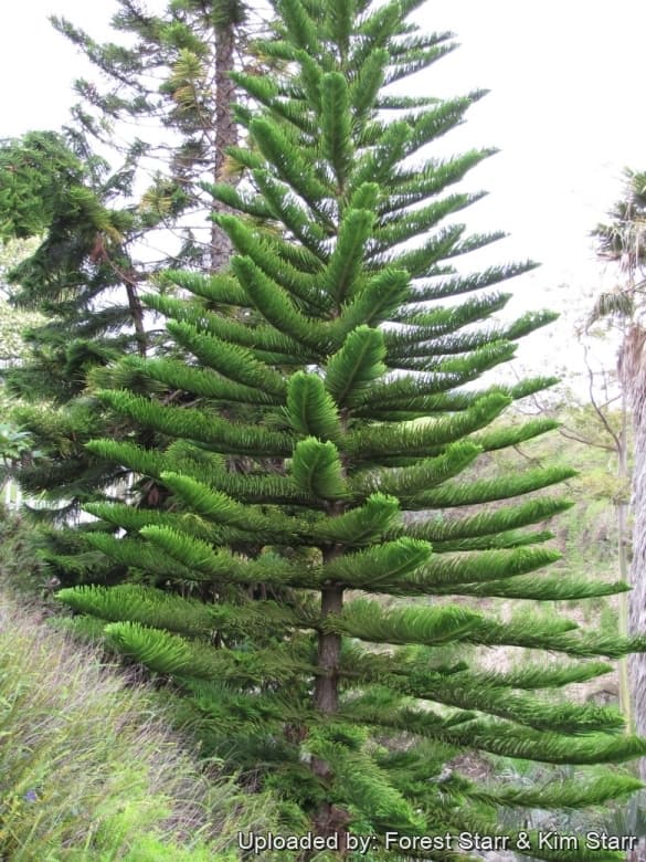 img-2
