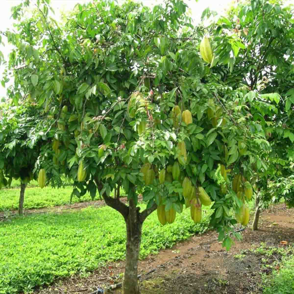 img-3