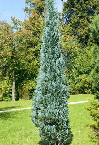img-0