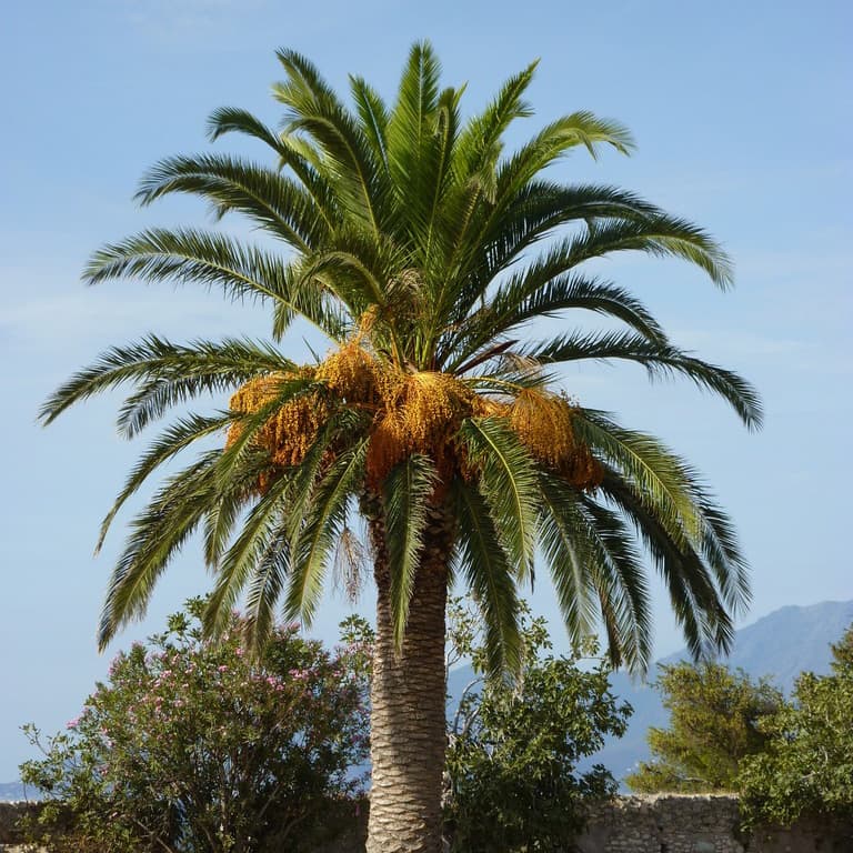 img-3