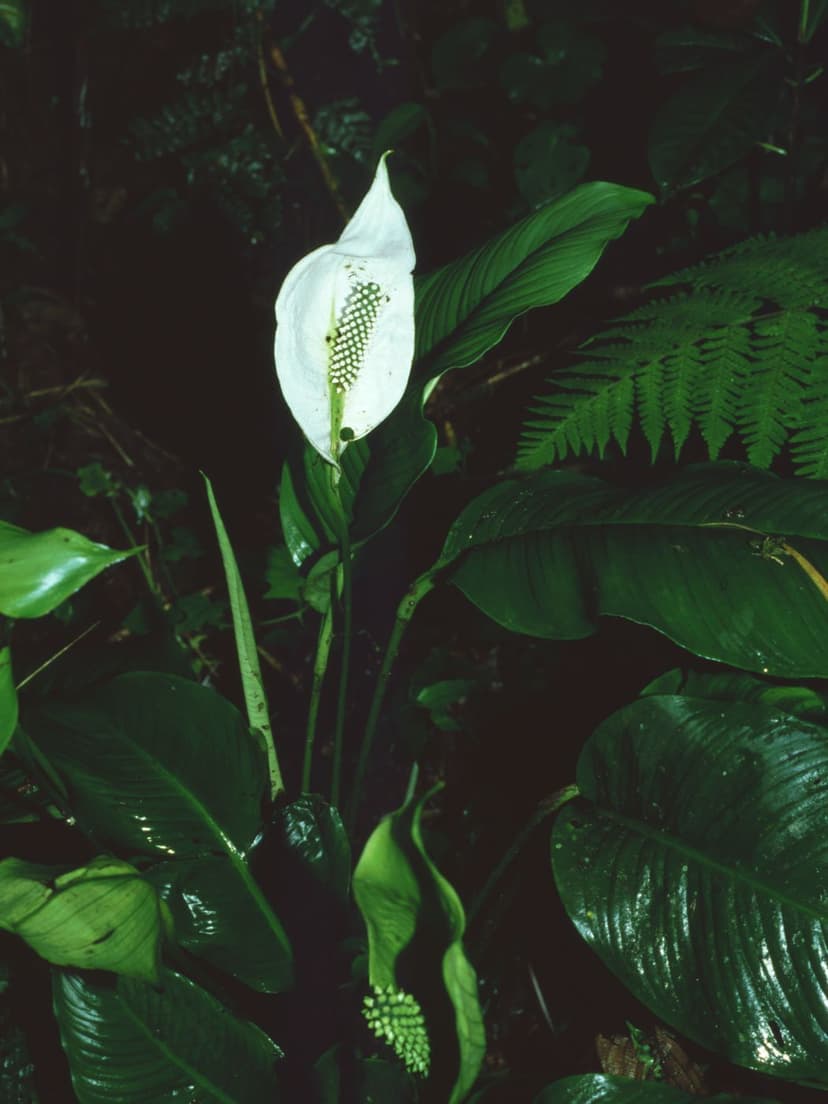 img-2
